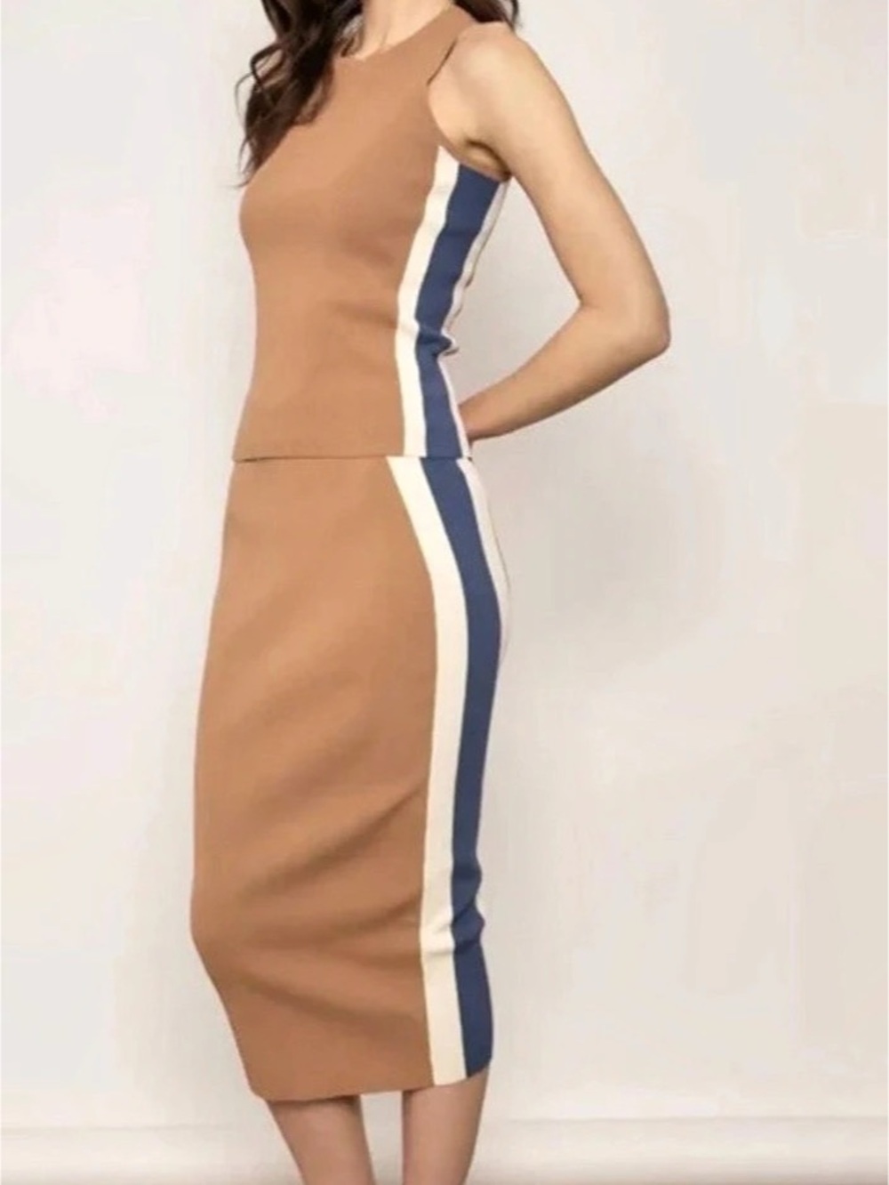 Central Park West Color Block Midi skirt set Size Small nwot never worn